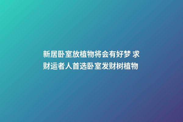 新居卧室放植物将会有好梦 求财运者人首选卧室发财树植物